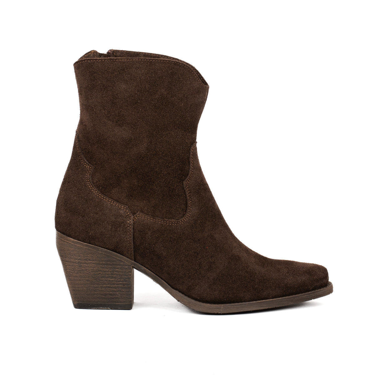 Polacco Donna Texano