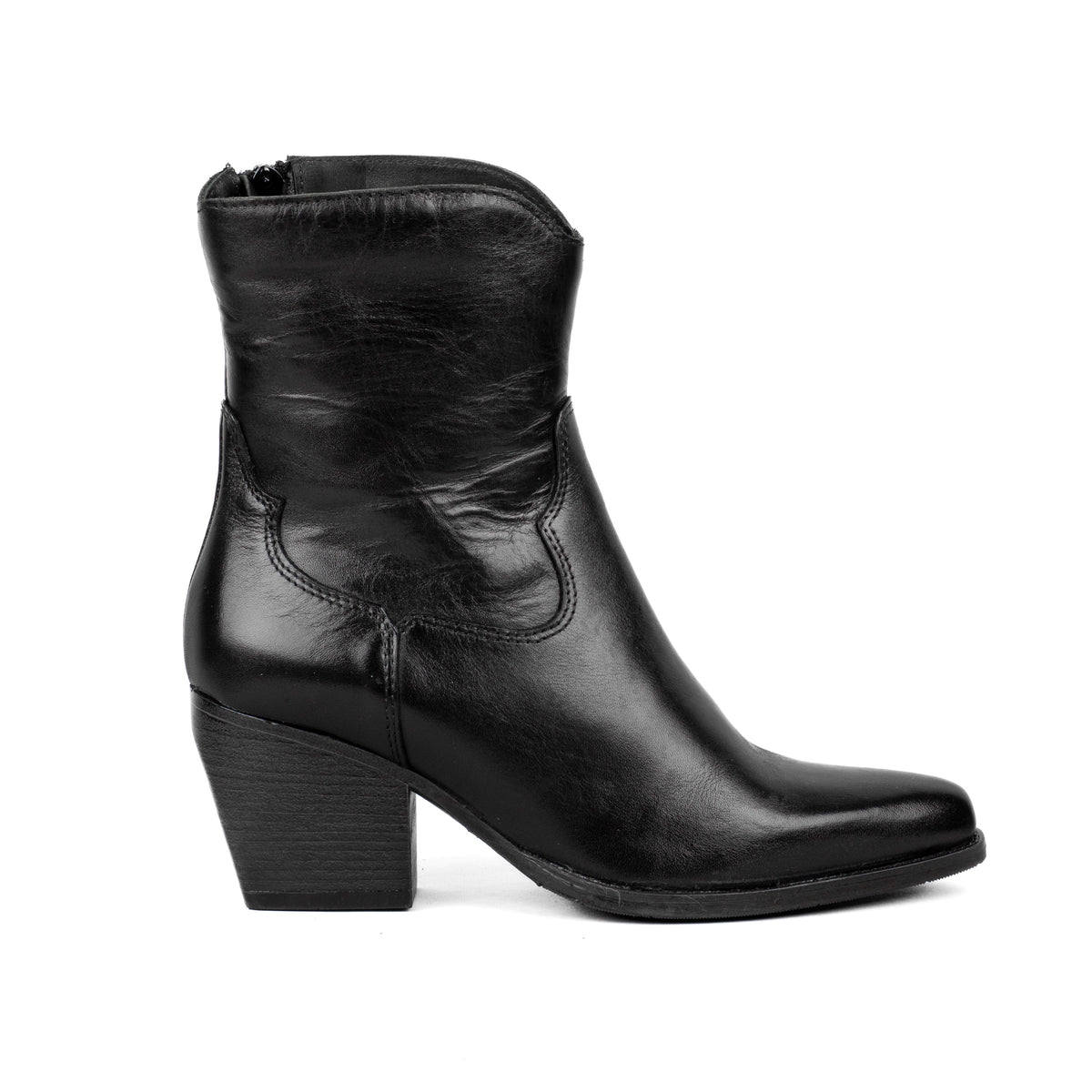 Polacco Donna Texano