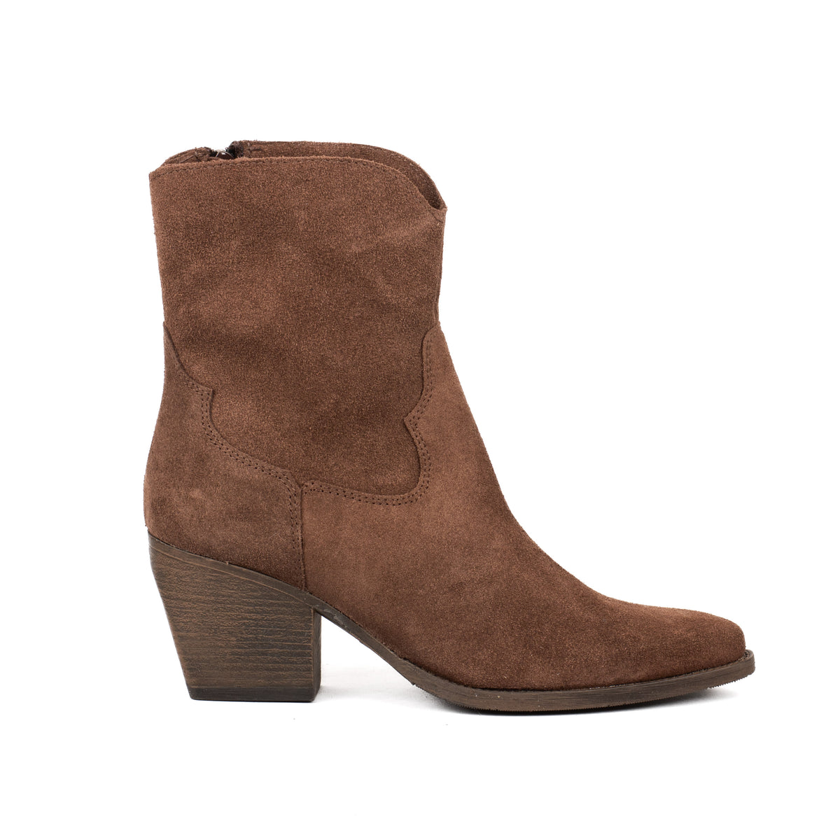 Polacco Donna Texano